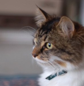 Photography by Phoebe Taylor